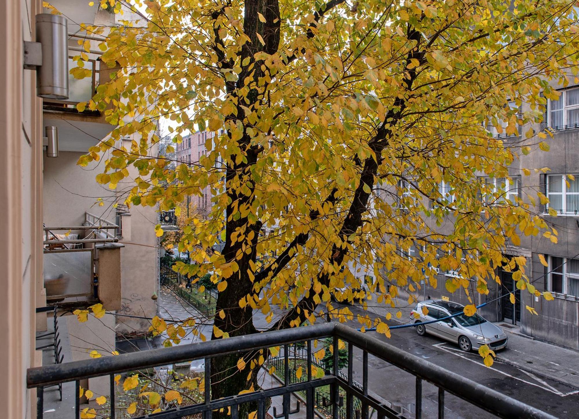 3D Wygoda Apartamenty Cracóvia Quarto foto